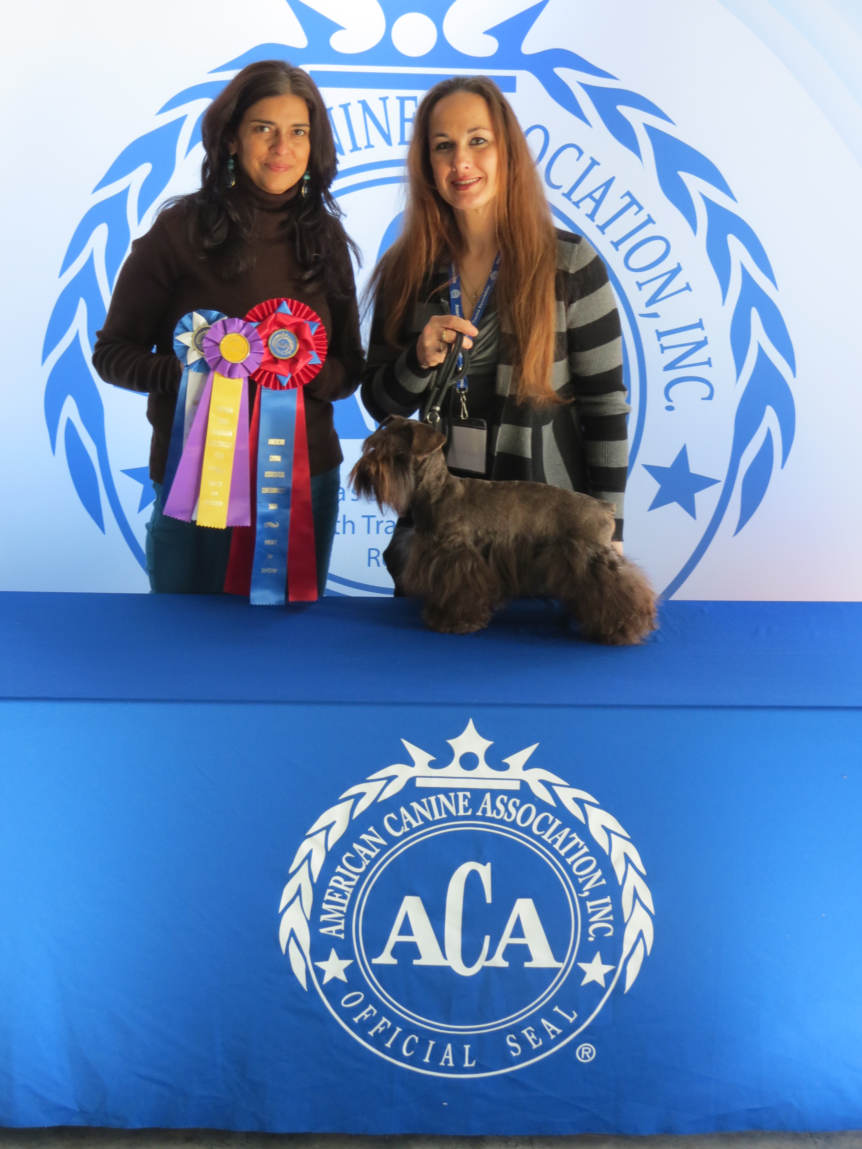 AJ, Kennel, show ribbon